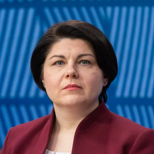 Natalia  Gavrilita Profile Picture